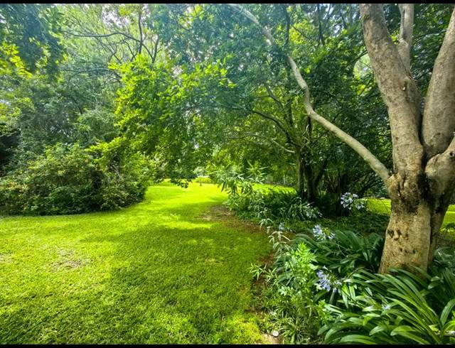 FARM FOR SALE IN LEEUWFONTEIN